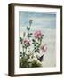 Early 19th-Century Chinese Watercolor of Pink Roses-null-Framed Giclee Print