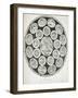 Early 19th-Century Print Depicting the Indian Zodiac-null-Framed Giclee Print