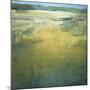 Early at the Marsh-Jeannie Sellmer-Mounted Giclee Print