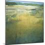 Early at the Marsh-Jeannie Sellmer-Mounted Art Print