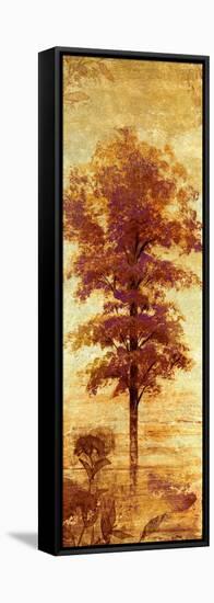 Early Autumn Chill I-Michael Marcon-Framed Stretched Canvas