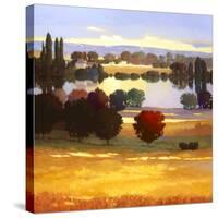Early Autumn I-Max Hayslette-Stretched Canvas
