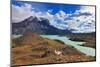 Early Autumn in Patagonia. National Park Torres Del Paine. on the Yellowed Grass Stands Guanaco - L-kavram-Mounted Photographic Print