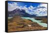 Early Autumn in Patagonia. National Park Torres Del Paine. on the Yellowed Grass Stands Guanaco - L-kavram-Framed Stretched Canvas