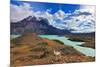 Early Autumn in Patagonia. National Park Torres Del Paine. on the Yellowed Grass Stands Guanaco - L-kavram-Mounted Photographic Print