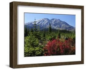 Early Autumn, Lahar, Mount St. Helen, Mount St. Helen Wilderness, Washington, USA-Michel Hersen-Framed Photographic Print