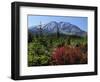 Early Autumn, Lahar, Mount St. Helen, Mount St. Helen Wilderness, Washington, USA-Michel Hersen-Framed Photographic Print