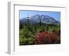 Early Autumn, Lahar, Mount St. Helen, Mount St. Helen Wilderness, Washington, USA-Michel Hersen-Framed Photographic Print