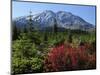 Early Autumn, Lahar, Mount St. Helen, Mount St. Helen Wilderness, Washington, USA-Michel Hersen-Mounted Photographic Print