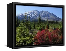 Early Autumn, Lahar, Mount St. Helen, Mount St. Helen Wilderness, Washington, USA-Michel Hersen-Framed Stretched Canvas