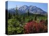 Early Autumn, Lahar, Mount St. Helen, Mount St. Helen Wilderness, Washington, USA-Michel Hersen-Stretched Canvas