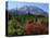 Early Autumn, Lahar, Mount St. Helen, Mount St. Helen Wilderness, Washington, USA-Michel Hersen-Stretched Canvas