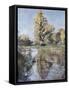 Early Autumn on the River Test, 2007-Caroline Hervey-Bathurst-Framed Stretched Canvas