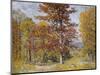 Early Autumn-John Joseph Enneking-Mounted Premium Giclee Print