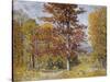 Early Autumn-John Joseph Enneking-Stretched Canvas