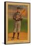 Early Baseball Card, Rube Waddell-null-Framed Stretched Canvas