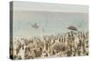 Early Beach Scene-null-Stretched Canvas