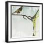 Early Bird-Gina Miller-Framed Art Print