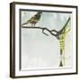 Early Bird-Gina Miller-Framed Art Print