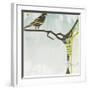 Early Bird-Gina Miller-Framed Art Print