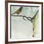 Early Bird-Gina Miller-Framed Giclee Print