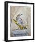 Early Brown Thrasher-Angeles M Pomata-Framed Giclee Print