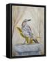 Early Brown Thrasher-Angeles M Pomata-Framed Stretched Canvas