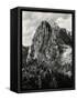 Early Carving on Mount Rushmore-George Rinhart-Framed Stretched Canvas