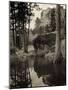 Early Carvings at Mount Rushmore-null-Mounted Photographic Print