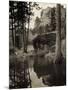 Early Carvings at Mount Rushmore-null-Mounted Photographic Print