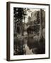 Early Carvings at Mount Rushmore-null-Framed Photographic Print