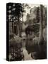 Early Carvings at Mount Rushmore-George Rinhart-Stretched Canvas