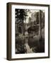 Early Carvings at Mount Rushmore-George Rinhart-Framed Photographic Print