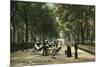 Early Central Park Mall, New York City-null-Mounted Premium Giclee Print