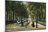 Early Central Park Mall, New York City-null-Mounted Art Print