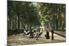 Early Central Park Mall, New York City-null-Mounted Art Print