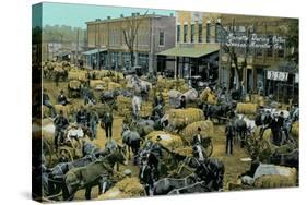 Early Cotton Market, Marietta, Georgia-null-Stretched Canvas