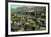 Early Cotton Market, Marietta, Georgia-null-Framed Art Print