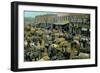 Early Cotton Market, Marietta, Georgia-null-Framed Premium Giclee Print