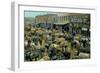 Early Cotton Market, Marietta, Georgia-null-Framed Premium Giclee Print