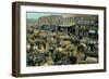 Early Cotton Market, Marietta, Georgia-null-Framed Art Print