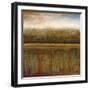 Early Days I-Mike Klung-Framed Art Print