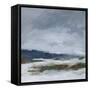 Early December-Pamela Munger-Framed Stretched Canvas