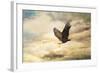 Early Evening Flight Bald Eagle 1-Jai Johnson-Framed Giclee Print