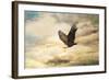 Early Evening Flight Bald Eagle 1-Jai Johnson-Framed Giclee Print