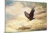 Early Evening Flight Bald Eagle 1-Jai Johnson-Mounted Giclee Print