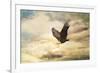 Early Evening Flight Bald Eagle 1-Jai Johnson-Framed Giclee Print