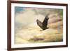 Early Evening Flight Bald Eagle 1-Jai Johnson-Framed Giclee Print