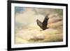 Early Evening Flight Bald Eagle 1-Jai Johnson-Framed Giclee Print