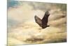 Early Evening Flight Bald Eagle 1-Jai Johnson-Mounted Giclee Print